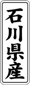 y ΐ쌧Y LVL0019Si1000jz ̑V[ HiV[ ÎV[ fRV[ MtgV[ ƖpV[  ʕ   t[c Hi   N y _Y HȋV[ w