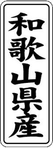 y a̎RY LVL0030Si1000jz ̑V[ HiV[ ÎV[ fRV[ MtgV[ ƖpV[  ʕ   t[c Hi   N y _Y HȋV[ w