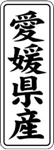 y QY LVL0038Si1000jz ̑V[ HiV[ ÎV[ fRV[ MtgV[ ƖpV[  ʕ   t[c Hi   N y _Y HȋV[ w