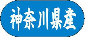 y _ސ쌧Y LVM0014Si1500jz ̑V[ HiV[ ÎV[ fRV[ MtgV[ ƖpV[  ʕ   t[c Hi   N y _Y HȋV[ w