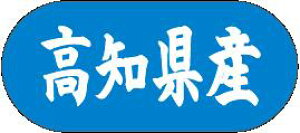 y mY LVM0039Si1500jz ̑V[ HiV[ ÎV[ fRV[ MtgV[ ƖpV[  ʕ   t[c Hi   N y _Y HȋV[ w