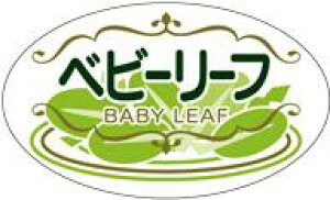 y y xr[[t LZ685i300jz V[  ʕ t[c  ʃV[ ʕV[ ؃V[ i uh Yn Yn YnV[ bsO bsOV[ t[o[