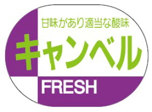 y  Ԃǂ Lx LZ10i600jz V[  ʕ t[c  ʃV[ ʕV[ ؃V[ i uh Yn Yn YnV[ bsO bsOV[ t[