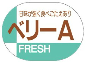 y  Ԃǂ x[ A LZ20i600jz V[  ʕ t[c  ʃV[ ʕV[ ؃V[ i uh Yn Yn YnV[ bsO bsOV[ C 