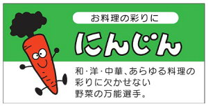 y  ɂ񂶂 LZ201i500jz V[  ʕ  ʃV[ ؃V[ i uh Yn Yn YnV[ bsO bsOV[ i lQ jW T_ ϕ |gt 