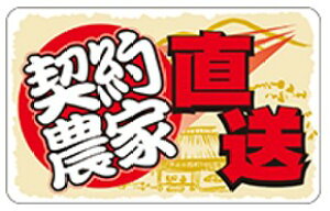 y  __ƒ LZ626i500jz V[  ʕ t[c  ʃV[ ʕV[ ؃V[ i uh Yn Yn YnV[ bsO bsOV[ __ _