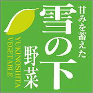 y  ̉ LZ683i500jz V[  ʕ t[c  ʃV[ ʕV[ ؃V[ i uh Yn Yn YnV[ bsO bsOV[ t[o[V[