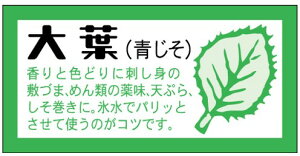 y  t LZ362i500jz V[  ʕ t[c  ʃV[ ʕV[ ؃V[ i uh Yn Yn YnV[ bsO bsOV[ t[o[V[ 