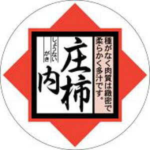 y  ` ` LZ321i500jz V[  ʕ t[c  ʃV[ ʕV[ ؃V[ i uh Yn Yn YnV[ bsO bsOV[ t[o[V[