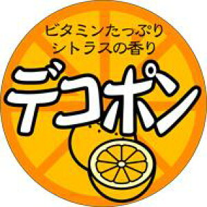 y  fR| LZ487i500jz V[  ʕ t[c  ʃV[ ʕV[ ؃V[ i uh ɗ\ É Z~m[ nbTN bsO bsOV[ t[