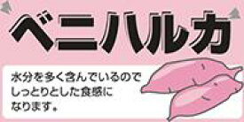 販促シール 食品シール 催事シール デコシール ギフトシール 業務用シール【青果 さつまいも べにはるか LZ680（300枚）】