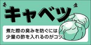 y  Lxc LZ419i300jz V[  ʕ  ʃV[ ؃V[ i uh Yn Yn YnV[ bsO bsOV[ i ׂ Lxc T_ Jbg