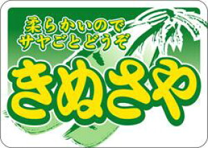 y  ʂ LZ537i500jz V[  ʕ t[c  ʃV[ ʕV[ ؃V[ i uh Yn Yn YnV[ bsO bsOV[ t[o[V[ 