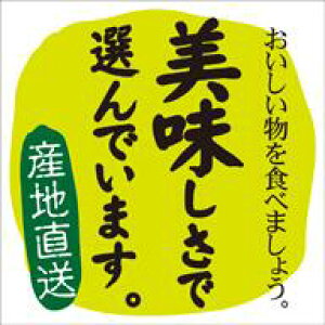 y  őIł܂ LZ677i300jz V[  ʕ t[c  ʃV[ ʕV[ ؃V[ i uh Yn Yn YnV[ bsO bsOV[ 