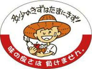 y  ̂͂܂ɂ LZ607i500jz V[  ʕ t[c  ʃV[ ʕV[ ؃V[ i uh Yn Yn YnV[ bsO bsOV[ t