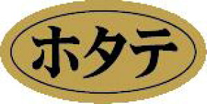 yN i z^e LHB0038i500jz̑V[ HiV[ ÎV[ fRV[ MtgV[ ƖpV[ hg zC LzC i XV  hg hg hg  NV