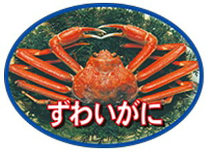 yN i 킢 LH325i250jz̑V[ HiV[ ÎV[ fRV[ MtgV[ ƖpV[  I  CN ĂȂ j p[eB[ i XV  hg h