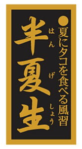 �y�N�����Đ� ���� LH880�i300���j�z�̑��V�[�� �H�i�V�[�� �Î��V�[�� �f�R�V�[�� �M�t�g�V�[�� �Ɩ��p�V�[�� �L���z�C�� ���z�C�� ���i �X�V ���� �h���g �h�g ���h�g ������ �N���V�[�� ��