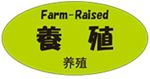 y {B LH983Si300jz OJ i p {  j\LV[ ̑V[ HiV[ ÎV[ fRV[ ƖpV[ u i hg hg  NV[ NHi 