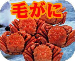 yN i т LH329i250jz̑V[ HiV[ ÎV[ fRV[ MtgV[ ƖpV[  I 蕨 i XV  hg hg hg  NV[ NHi