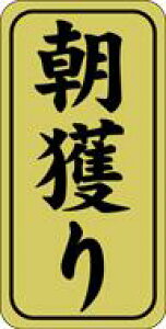 yN NxQ l LH477i500jz̑V[ HiV[ ÎV[ fRV[ MtgV[ ƖpV[  i hg zC LzC i XV  hg hg hg 