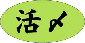 yN  LH483i500jz̑V[ HiV[ ÎV[ fRV[ MtgV[ ƖpV[ hg VN NxQ { Yn i hg hg  NV[ NHi VN C