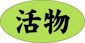 �y�N�� ���� LH486�i500���j�z�̑��V�[�� �H�i�V�[�� �Î��V�[�� �f�R�V�[�� �M�t�g�V�[�� �Ɩ��p�V�[�� �N�x���Q �{ �Y�n���� �u���� ���i �h�g ���h�g ������ �N���V�[�� ���N�H�i �V�N �C��