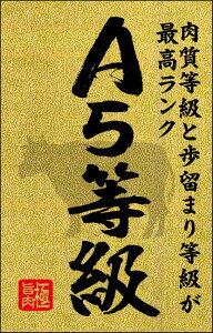 y  A5 sJ LY383(200)z ̑V[ HiV[ ÎV[ fRV[ MtgV[ ƖpV[   A5N   i ōN ō A5  uh  