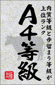 y  A4 sJ LY628(200)z ̑V[ HiV[ ÎV[ fRV[ MtgV[ ƖpV[   A4N   i ōN ō A4  uh  