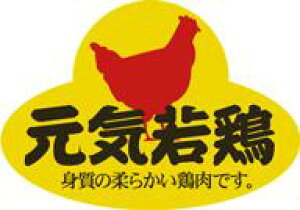 y  C { LY478i500jz ̑V[ HiV[ ÎV[ fRV[ MtgV[ ƖpV[   y؃V[  V[  ٓ y ٓ   {