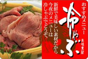 y  ₵ LY393i300jz ̑V[ HiV[ ÎV[ fRV[ MtgV[ ƖpV[   y؃V[  V[  ٓ y ٓ   {