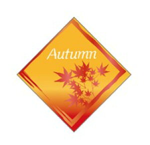 y HsbN LX607Si100jz P[LsbN ̑sbN HisbN ÎsbN fRsbN MtgsbN ƖpsbN H ݂ gt ͗t  sy sNjbN W[ PET ٓ 