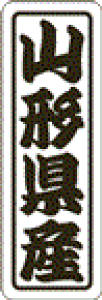 y R`Y LVN0005Si500jz ̑V[ HiV[ ÎV[ fRV[ MtgV[ ƖpV[  ʕ   t[c Hi   N y _Y HȋV[ w