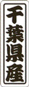 y tY LVN0012Si500jz ̑V[ HiV[ ÎV[ fRV[ MtgV[ ƖpV[  ʕ   t[c Hi   N y _Y HȋV[ w