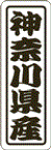y _ސ쌧Y LVN0014Si500jz ̑V[ HiV[ ÎV[ fRV[ MtgV[ ƖpV[  ʕ   t[c Hi   N y _Y HȋV[ w