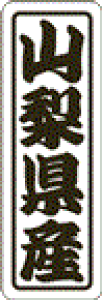 y RY LVN0015Si500jz ̑V[ HiV[ ÎV[ fRV[ MtgV[ ƖpV[  ʕ   t[c Hi   N y _Y HȋV[ w