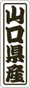 y RY LVN0035Si500jz ̑V[ HiV[ ÎV[ fRV[ MtgV[ ƖpV[  ʕ   t[c Hi   N y _Y HȋV[ w