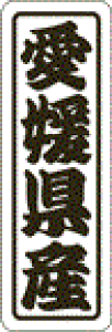 y QY LVN0038Si500jz ̑V[ HiV[ ÎV[ fRV[ MtgV[ ƖpV[  ʕ   t[c Hi   N y _Y HȋV[ w