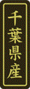 y tY LVP0012Si500jz ̑V[ HiV[ ÎV[ fRV[ MtgV[ ƖpV[  ʕ   t[c Hi   N y _Y HȋV[ w