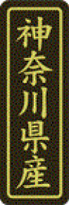 y _ސ쌧Y LVP0014Si500jz ̑V[ HiV[ ÎV[ fRV[ MtgV[ ƖpV[  ʕ   t[c Hi   N y _Y HȋV[ w