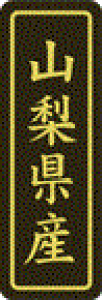 y RY LVP0015Si500jz ̑V[ HiV[ ÎV[ fRV[ MtgV[ ƖpV[  ʕ   t[c Hi   N y _Y HȋV[ w