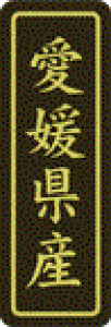 y QY LVP0038Si500jz ̑V[ HiV[ ÎV[ fRV[ MtgV[ ƖpV[  ʕ   t[c Hi   N y _Y HȋV[ w