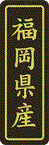 y Y LVP0040Si500jz ̑V[ HiV[ ÎV[ fRV[ MtgV[ ƖpV[  ʕ   t[c Hi   N y _Y HȋV[ w