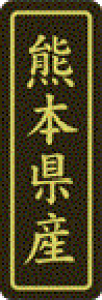 y F{Y LVP0044Si500jz ̑V[ HiV[ ÎV[ fRV[ MtgV[ ƖpV[  ʕ   t[c Hi   N y _Y HȋV[ w