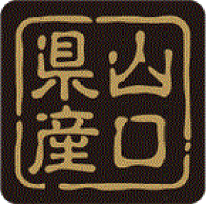 y RY LVR0035Si500jz ̑V[ HiV[ ÎV[ fRV[ ƖpV[  ʕ   t[c Hi   N y _Y HȋV[ wV[ Y C