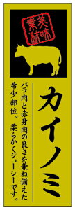 y JCm~ LY599Si100jz ʃV[ ̑V[ HiV[ ÎV[ MtgV[ ƖpV[   y؃V[  V[  ٓ y ٓ   {