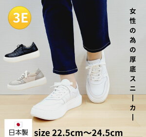 y|Cg5{zXj[J[ VRv Xj[J[ ₷ {v l { {v 3.5Z`q[ ɂȂ fB[X y y fB[X r IV o| 3F JW