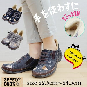 y}\ő1,000~N[|zXs[fB_bN IN fB[X V[Y v 3E  wlC L  IV H~ JWA RtH[g ₷ SR XG[