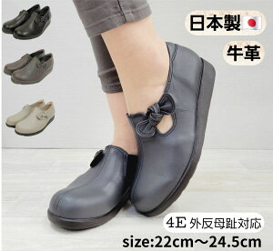 ygȂᑹ! ԌN[|z_˃V[Y@{@wlC@EH[LOV[Y@L@b@₷@ɂ@v[g@4E C 2018