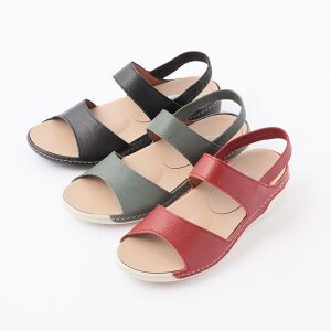 y|Cg5{zyc킸zRtH[gT_ y fB[X Vv  ₷ _˃V[Y  _炩 r y^R {v ꂢ o  